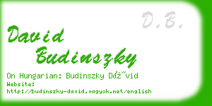 david budinszky business card